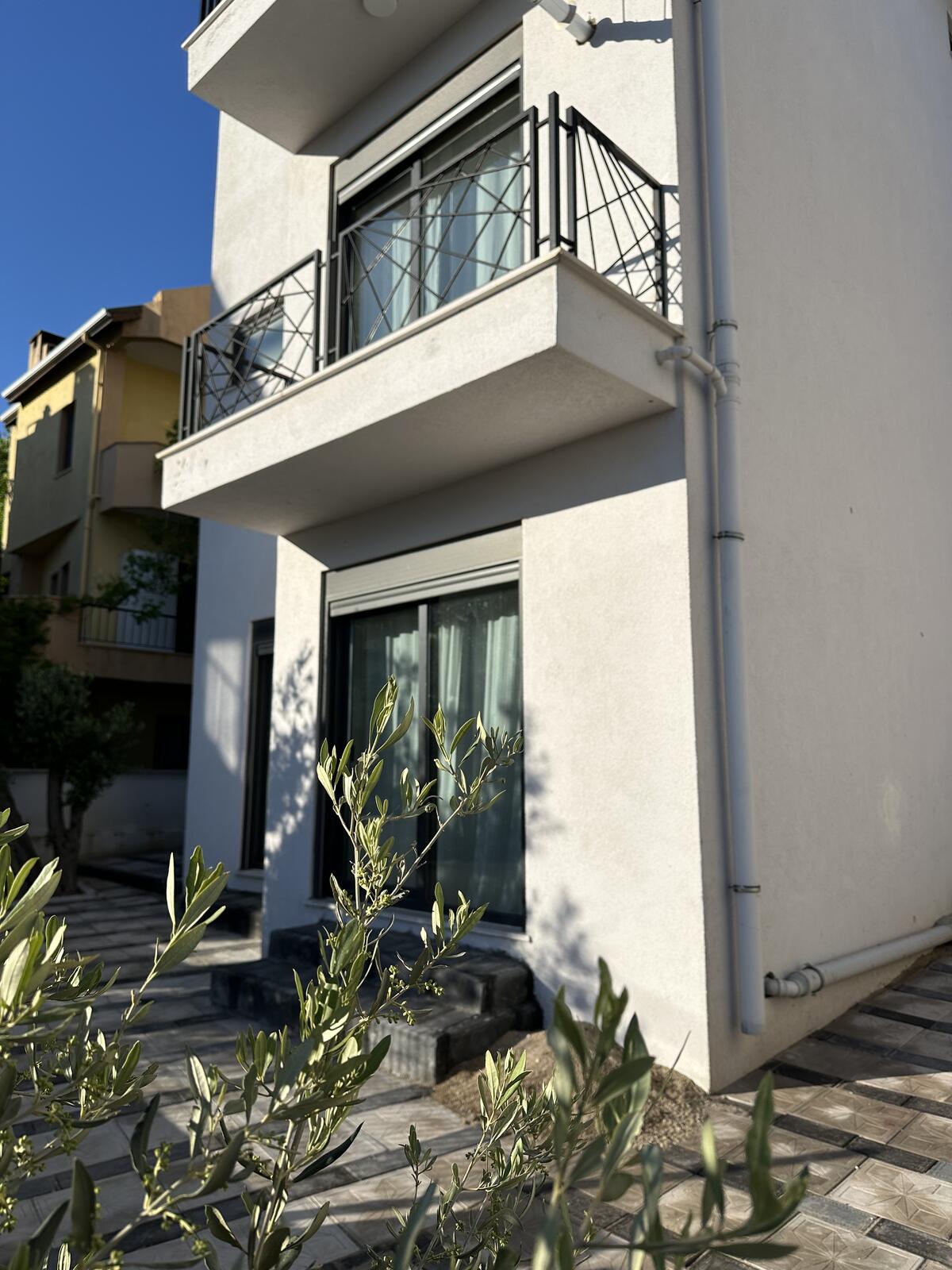 Bahçedeki zeytin ağacı